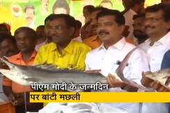 तमिलनाडु : चेन्नई में PM मोदी के जन्मदिन पर BJP उपाध्यक्ष और राज्य सचिव ने बांटी मछली तमिलनाडु : चेन्नई में PM मोदी के जन्मदिन पर BJP उपाध्यक्ष और राज्य सचिव ने बांटी मछली