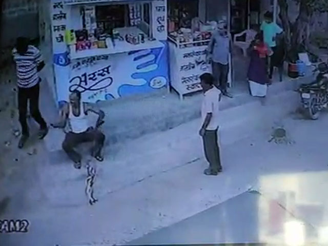 On Camera, Rajasthan's 'Snake Man' Dies Minutes After Being Bitten By A Cobra