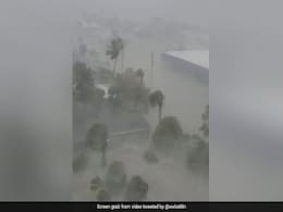 Viral Video Shows Destruction Of Houses And Trees By Hurricane Ian In Florida Viral Video Shows Destruction Of Houses And Trees By Hurricane Ian In Florida