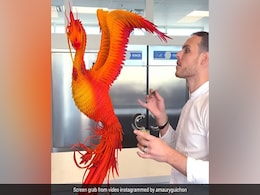 Watch: Incredible Creation Of Chocolate Phoenix With 2000 Chocolate Feathers Stuns Internet Watch: Incredible Creation Of Chocolate Phoenix With 2000 Chocolate Feathers Stuns Internet
