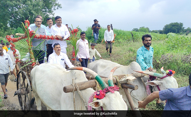 Maharashtra Minister Assesses Crop Damage On Decorated Cart, Criticised
