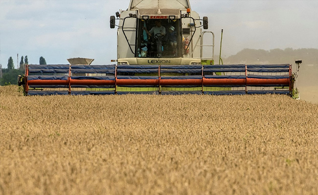 Will Extend Black Sea Grain Deal Automatically If No Objections: Russia