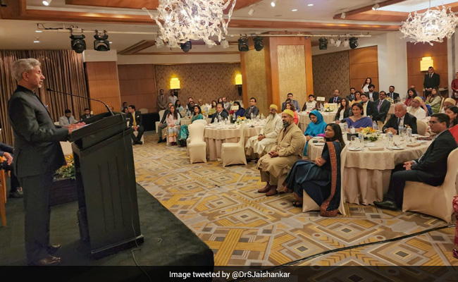 S Jaishankar Meets Indians In Egypt; Thanks Them For Shaping Image In Region