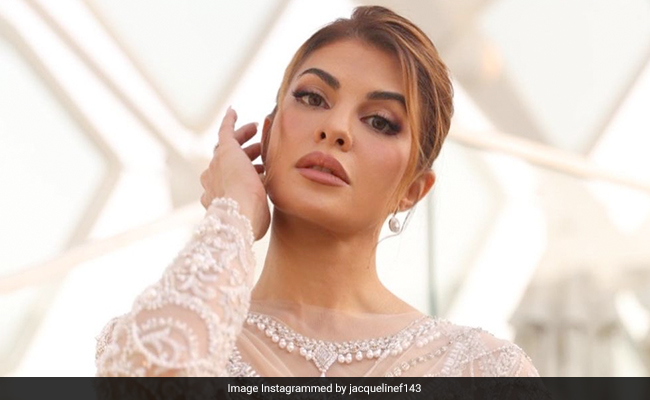 Jacqueline Fernandez Tried To Flee India, Destroy Evidence: Agency