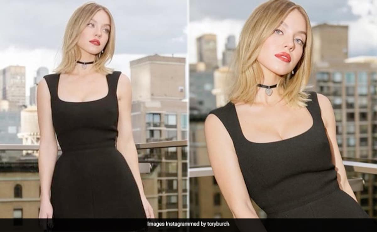 This Reddit Post Went So Viral That Sydney Sweeney Is Now Starring In A Movie Based On It This Reddit Post Went So Viral That Sydney Sweeney Is Now Starring In A Movie Based On It