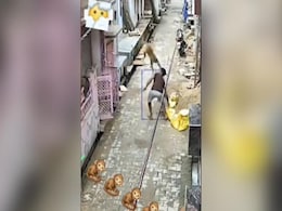 Watch: बंदर ने WWE-स्टाइल में शख्स को दी पटखनी, यूजर्स को जॉन सीना की आई याद Watch: बंदर ने WWE-स्टाइल में शख्स को दी पटखनी, यूजर्स को जॉन सीना की आई याद
