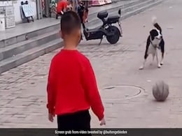 कुत्ते के साथ फुटबॉल खेलता दिखा छोटा बच्चा, दोनों ने खूब किया एन्जॉय, Video देख आपका दिन बन जाएगा कुत्ते के साथ फुटबॉल खेलता दिखा छोटा बच्चा, दोनों ने खूब किया एन्जॉय, Video देख आपका दिन बन जाएगा
