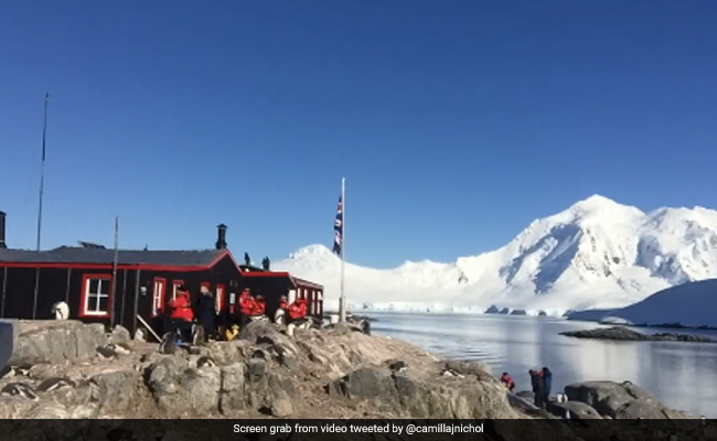 Four Women To Run The World's Most Remote Post Office And Count Penguins: Report