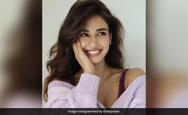 Tiger Shroff's Sister Krishna Left This Comment On Disha Patani's New Post