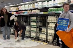 Watch: After Van Gogh, Milk Is Latest Casualty Of UK Activism Watch: After Van Gogh, Milk Is Latest Casualty Of UK Activism