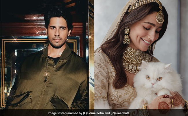 Sidharth Malhotra Wants To Steal Alia Bhatt's Cat. Fans Wonder If He Gifted Edward