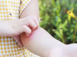 8 Tips To Recover From Dengue Infection 8 Tips To Recover From Dengue Infection