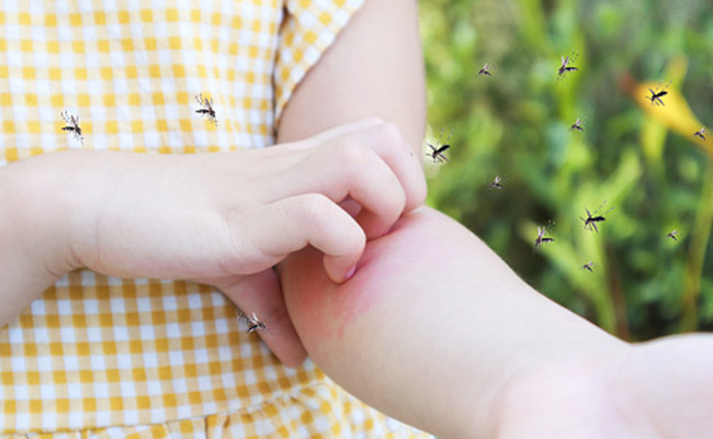 8 Tips To Recover From Dengue Infection