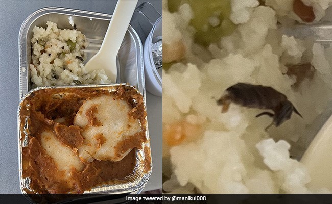फ्लाइट में पैसेंजर को खाने में मिला कॉकरोच, देखने के बाद आपको खराब लगेगा