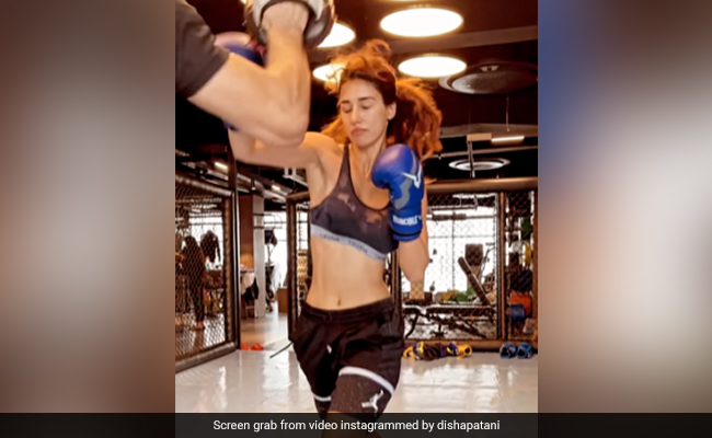 Nothing. Just Disha Patani Trying To Earn Her "Holiday Sweets"