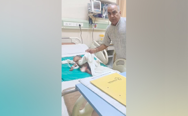 Noida Baby Dies After Attack By Street Dog, Angry Residents Protest