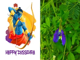 Dussehra 2022: दशहरे पर आज जरूर करें इन 2 पौधों की पूजा, हर काम में मिलेगी सफलता ! Dussehra 2022: दशहरे पर आज जरूर करें इन 2 पौधों की पूजा, हर काम में मिलेगी सफलता !