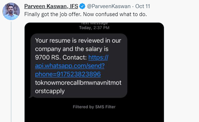 IFS अधिकारी को मिला 9,700 रुपए सैलरी वाला जॉब ऑफर, लोगों से पूछा- समझ नहीं आ रहा क्या करूं
