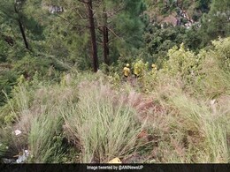 उत्तराखंड : पूर्णागिरि धाम मेला क्षेत्र में हुए सड़क हादसे में 5 लोगों की मौत उत्तराखंड : पूर्णागिरि धाम मेला क्षेत्र में हुए सड़क हादसे में 5 लोगों की मौत