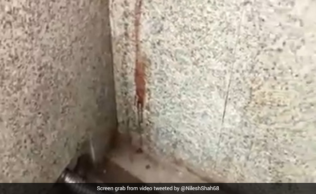 Video Of Gutka Stains At Ahmedabad Metro Staion Goes Viral, Leaves Social Media Users Appalled