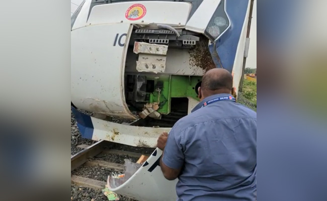 Watch: Semi-High Speed Train Damaged After Hitting Buffalo Herd In Gujarat