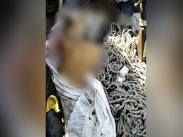 Tiger That Killed 9 People Shot Dead In Bihar Tiger That Killed 9 People Shot Dead In Bihar