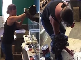 पिंजरा खोलते ही अजगर ने जकड़ लिया महिला का हाथ, कमजोर दिल वाले न देखें वीडियो पिंजरा खोलते ही अजगर ने जकड़ लिया महिला का हाथ, कमजोर दिल वाले न देखें वीडियो