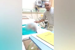 Noida Baby Dies After Attack By Street Dog, Angry Residents Protest Noida Baby Dies After Attack By Street Dog, Angry Residents Protest