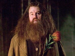 Robbie Coltrane Dies: नहीं रहे 'हैरी पॉटर' के हैगरिड, 72 की उम्र में हुआ रॉबी कोल्ट्रेन का निधन  Robbie Coltrane Dies: नहीं रहे 'हैरी पॉटर' के हैगरिड, 72 की उम्र में हुआ रॉबी कोल्ट्रेन का निधन