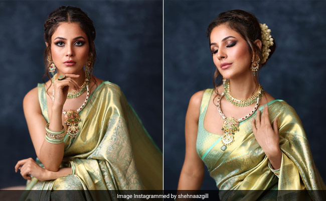 Shehnaaz Gill's Mint Green <i>Kanjeevaram Saree</i> Trumps All Saree Forms In Just One Drape
