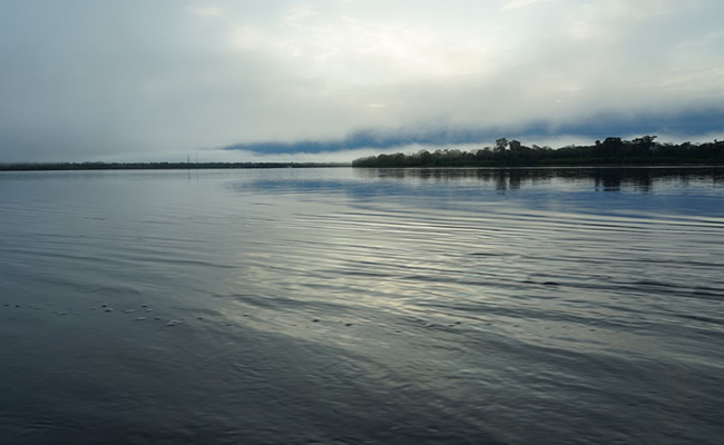 Four Teens, Man Drown In Bihar River While Washing Clothes: Cops