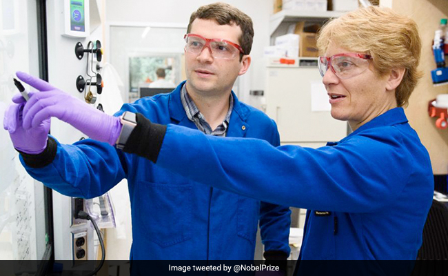 What Is 'Click Chemistry' That Won Chemist Trio The Chemistry Nobel