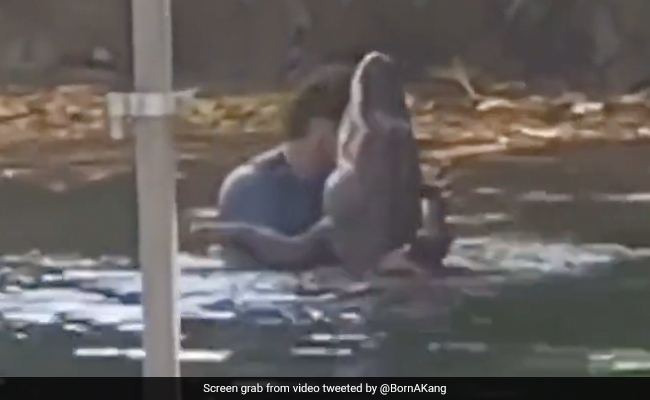 Viral Video Shows Man Dancing With Alligator In Pond