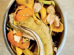 चेहरे पर लगाने के लिए अच्छे हैं ये 5 फलों के छिलके, इन Fruit Peels को फेंकने की ना करें गलती चेहरे पर लगाने के लिए अच्छे हैं ये 5 फलों के छिलके, इन Fruit Peels को फेंकने की ना करें गलती