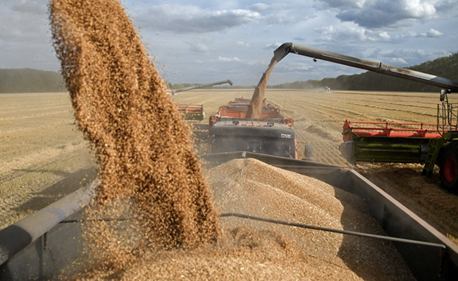 India Has Enough Foodgrain Stocks To Meet All Needs: Centre