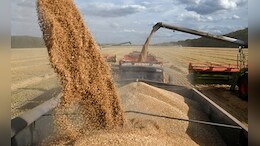 FCI  Sells 3.85 Lakh Tonnes Of Wheat In Open Market To Cool Prices