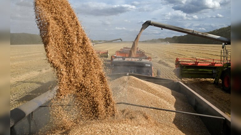 FCI  Sells 3.85 Lakh Tonnes Of Wheat In Open Market To Cool Prices