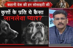 सवाल इंडिया का : कुत्तों के प्रति ये कैसा जानलेवा प्यार?  सवाल इंडिया का : कुत्तों के प्रति ये कैसा जानलेवा प्यार?