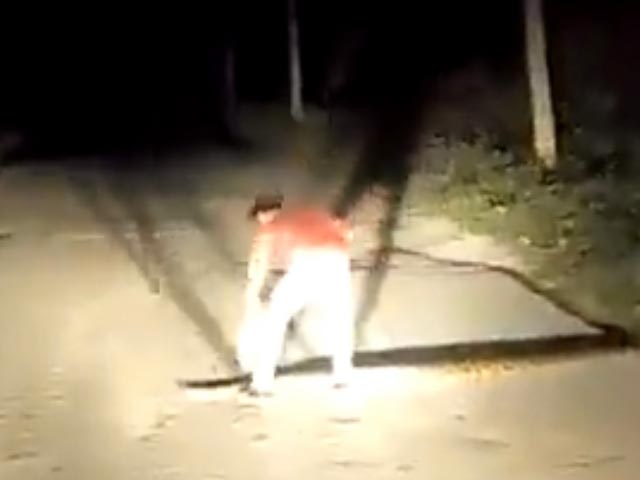 Watch: Man Tosses Giant Snake Off The Road With Bare Hands