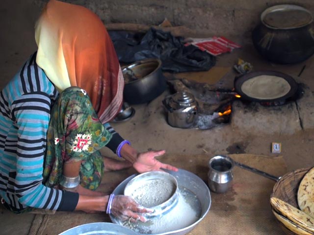 World Food Day Special: Millets, Food Security And Cultivation In 2022