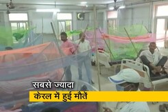 देश में 80 हजार से ज्यादा डेंगू के केस, 12 राज्यों में 60 मौतें देश में 80 हजार से ज्यादा डेंगू के केस, 12 राज्यों में 60 मौतें