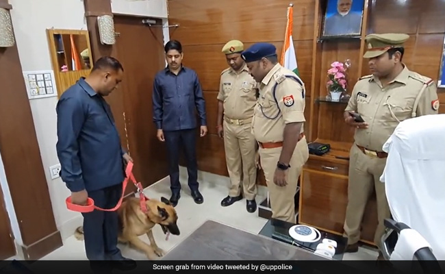 Police Dog Sniffs Evidence 22 km Away, Helps Solve "Blind Murder Mystery"