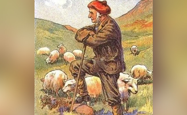 इस तस्वीर में छिपा है एक कुत्ता, कई लोग खोज नहीं पा रहे हैं, अगर नज़र है तेज तो खोजिए