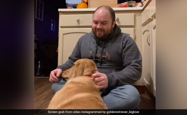 "Wholesome" Video Shows Man Singing "Silent Night" To Make His Dog Sleep