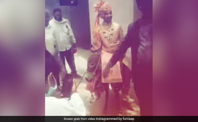 घोड़ी नहीं मिली तो गधी पर शान से बैठ कर बारात लेकर निकला दूल्हा, शॉकिंग वीडियो देख हैरान हुए लोग