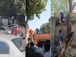 Video: Men Climb Walls At Delhi's All-Women Miranda House College Video: Men Climb Walls At Delhi's All-Women Miranda House College