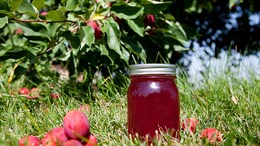 Cooking Tips: How To Make Apple Jam At Home (Recipe Video Inside)