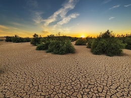Over 140 Million In Gulf Countries Face Food Crisis: IMF Over 140 Million In Gulf Countries Face Food Crisis: IMF