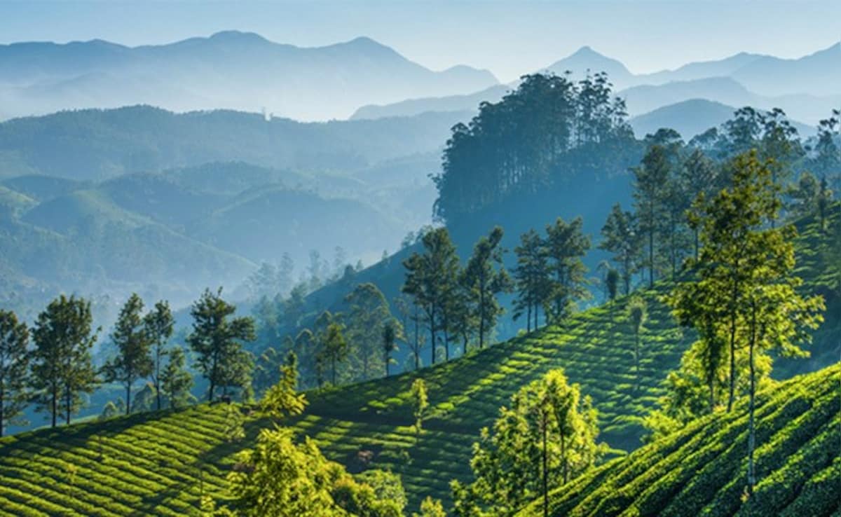 Latest and Breaking News on NDTV