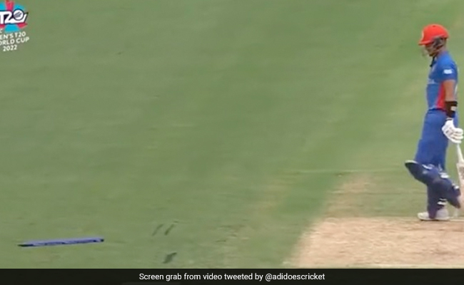 PAK पेस बैटरी ने मचाया गदर, हारिस रऊफ ने करिश्माई गेंद पर बल्लेबाज को किया बोल्ड, दूर जाकर गिरा स्टंप- Video